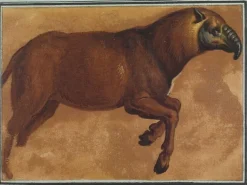 Panneaux Aluminium|Toiles Encadrées<Boutiques de musées Tapir (panneaux aluminium)
