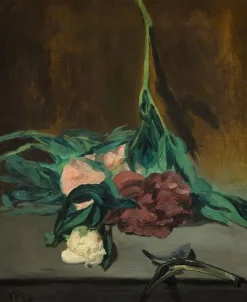 Affiches D'Art|Toiles Sur Châssis<Boutiques de musées Tige de pivoines et sécateur (affiches d'art)