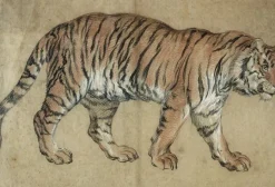 Boutiques de musées Tigre marchant vers la droite (toiles sans cadre) New