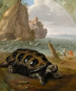 Affiches D'Art Encadrées|Toiles Sur Châssis<Boutiques de musées Tortue (affiches d'art encadrées)