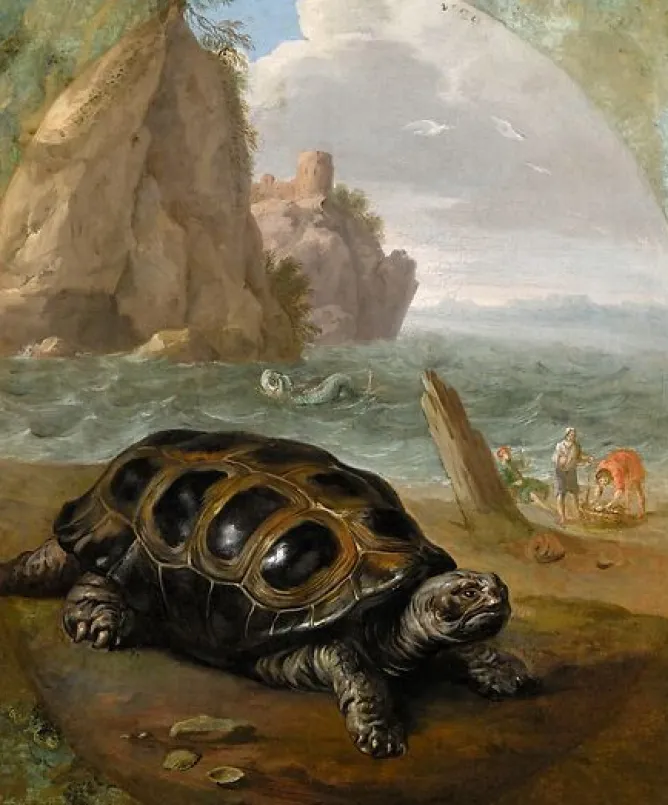 Affiches D'Art Encadrées|Toiles Sur Châssis<Boutiques de musées Tortue (affiches d'art encadrées)