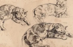 Panneaux Aluminium|Panneaux Acryliques<Boutiques de musées Trois études de chats allongés, la tête vers la droite (panneaux aluminium)