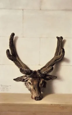 Toiles Encadrées|Toiles Sur Châssis<Boutiques de musées Tête de cerf bizarre sur un mur de pierre, signé et daté en bas à droite (toiles encadrées)