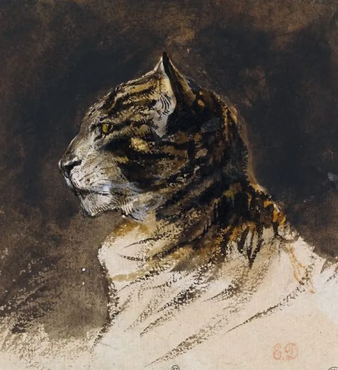 Boutiques de musées Tête de chat (panneaux aluminium) Sale