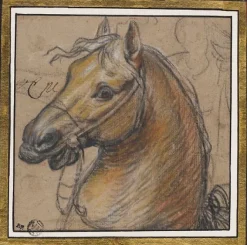 Boutiques de musées Tête de cheval (affiches d'art) New