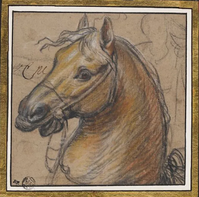 Toiles Sur Châssis|Panneaux Acryliques<Boutiques de musées Tête de cheval (toiles sur châssis)