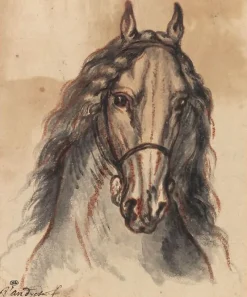 Panneaux Aluminium|Toiles Encadrées<Boutiques de musées Tête de cheval, vue de face (panneaux aluminium)
