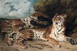 Toiles Encadrées|Toiles Sans Cadre<Boutiques de musées Étude de deux tigres, dit aussi Jeune tigre jouant avec sa mère (toiles encadrées)