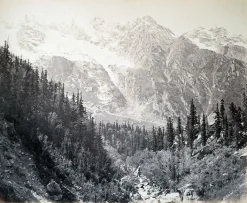 Affiches D'Art<Boutiques de musées Wanga valley and glacier (Abies Webbiana) [Himachal Pradesh. Vallée de Wanga et glaciers], 1866 (affiches d'art)